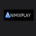 Profile picture of animixplaylife