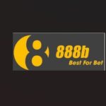 Profile picture of 888bracing