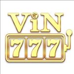 Profile picture of 777vin777info