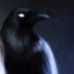 Profile picture of ginnel76